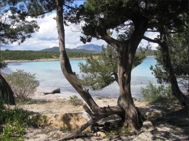Beaches of Sardinia 